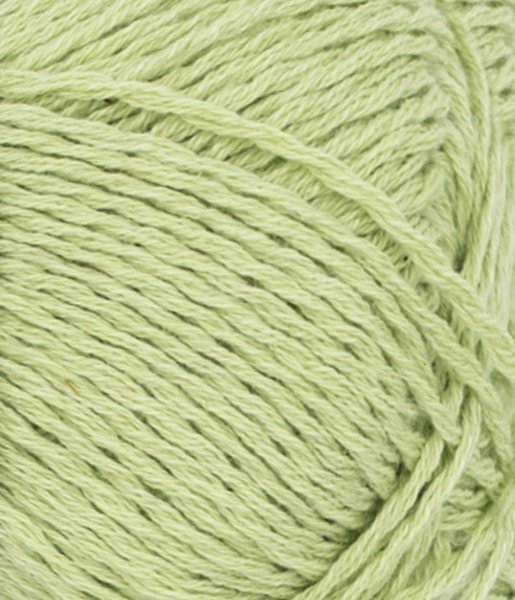 Line, 9523, Lime Punch