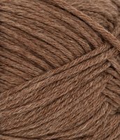 Duo, 2564, Gyllenbrun