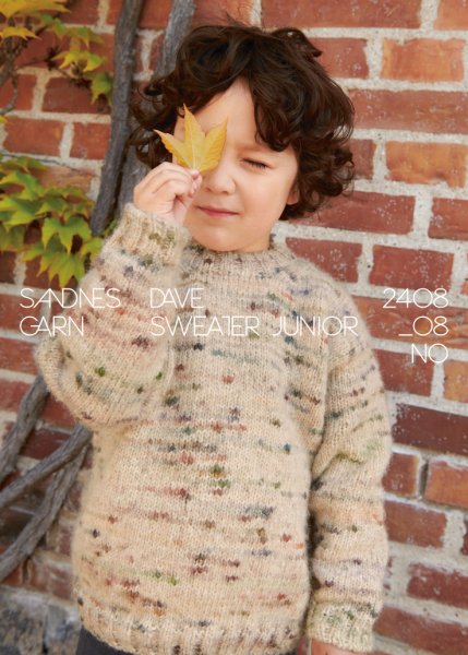 Einzelanleitung 2408-08, Dave Sweater