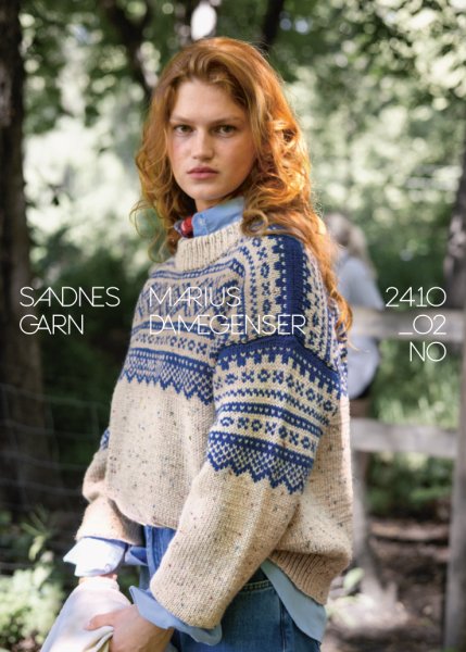 Einzelanleitung 2410-02, Marius Damegenser