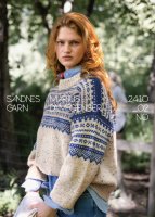 Einzelanleitung 2410-02, Marius Damegenser