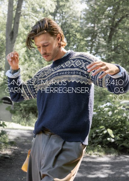 Einzelanleitung 2410-03, Marius Herregenser