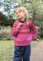 Einzelanleitung 2411-01, Marius Barnegenser