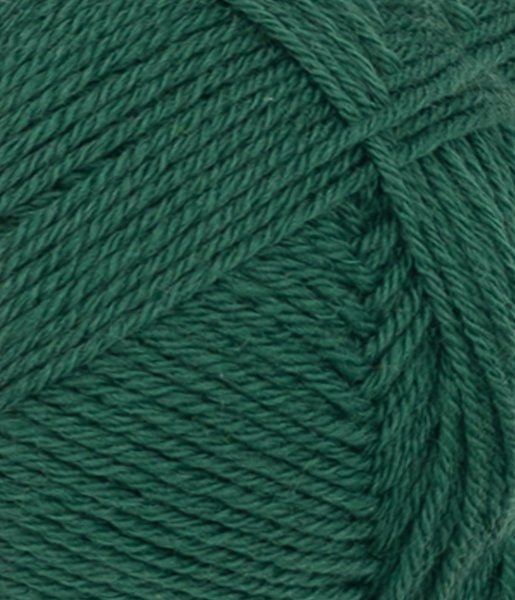 Sunday, 7772, Rain Forest