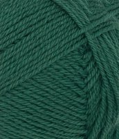 Sunday, 7772, Rain Forest