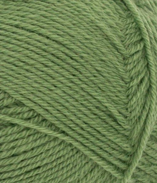 Sunday, 8753, Vineyard Green