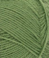 Sunday, 8753, Vineyard Green