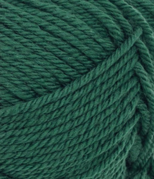 Double Sunday, 7772, Rain Forest