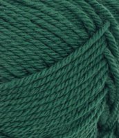 Double Sunday, 7772, Rain Forest