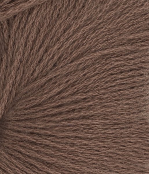 Cashmere, 3161, Acorn