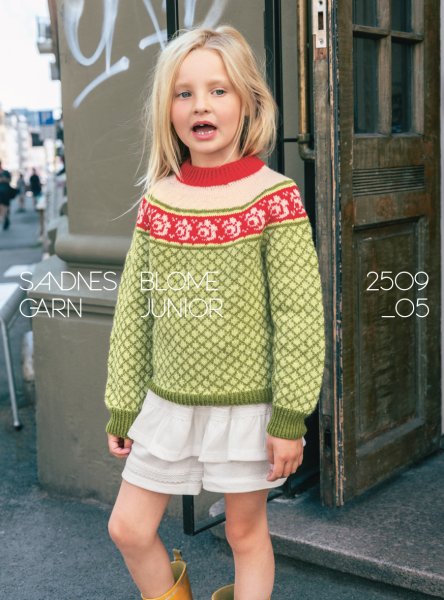 Einzelanleitung 2509-05, Blome Pullover Junior
