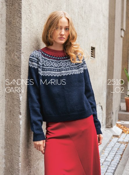 Einzelanleitung 2510-02, Marius Damegenser