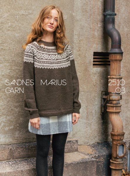 Einzelanleitung 2510-03, Marius Damegenser