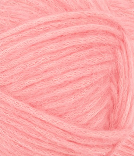 Poppy, 4213, Blossom