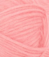 Poppy, 4213, Blossom